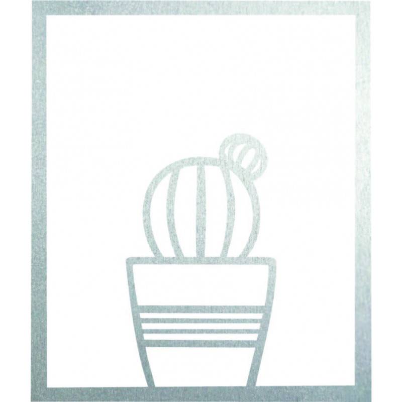 Moderný obraz na stenu - KAKTUS ALDER | SENTOP