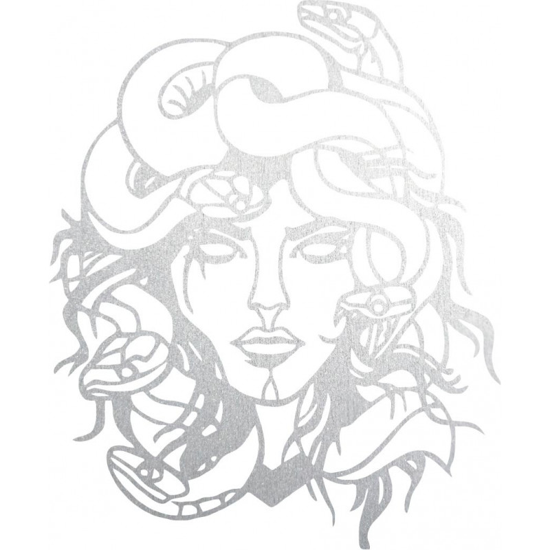 Obraz na stenu msdúza žena - MEDUSA GORGONA