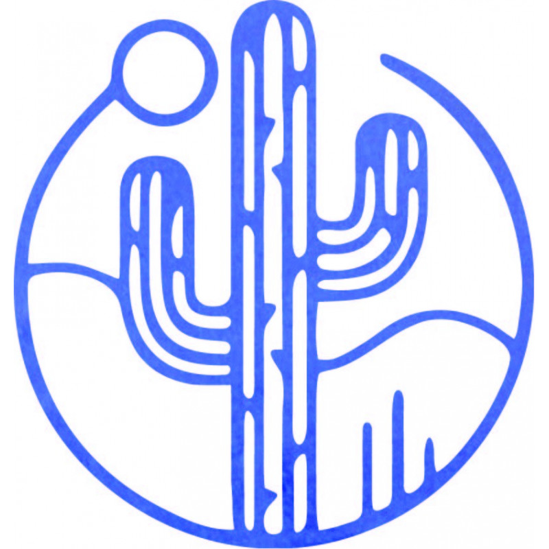 Drevený obraz na stenu kaktus so slnkom - MONK