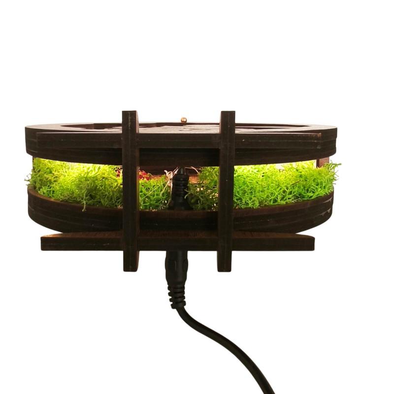 LED dekorácia Malý princ s lietadlom | Orech Wenge