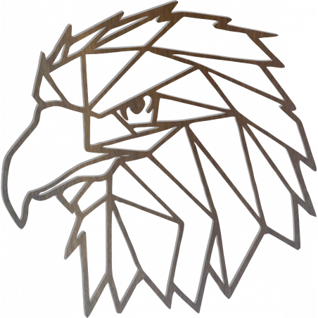 STYLESA Vyrezávaný obraz na stenu geometrické tvary orol PR0234 čierny